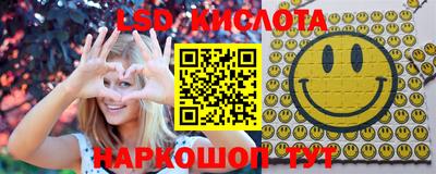 мдпв Гатчина