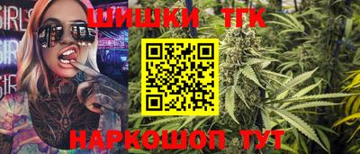 мдпв Гатчина