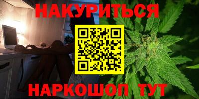 мдпв Гатчина
