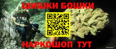 мдпв Гатчина
