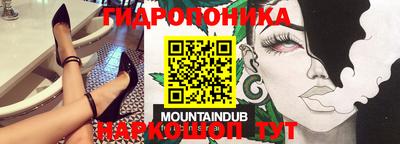 мдпв Гатчина
