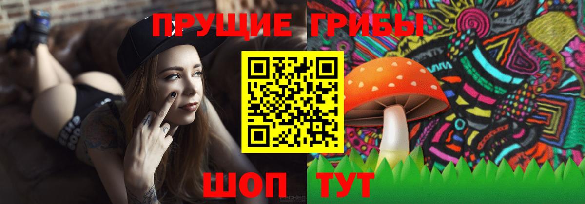 Псилоцибиновые грибы Psilocybine cubensis Губкин